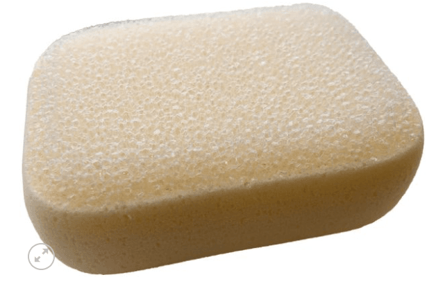 Dual Purpose Sponge