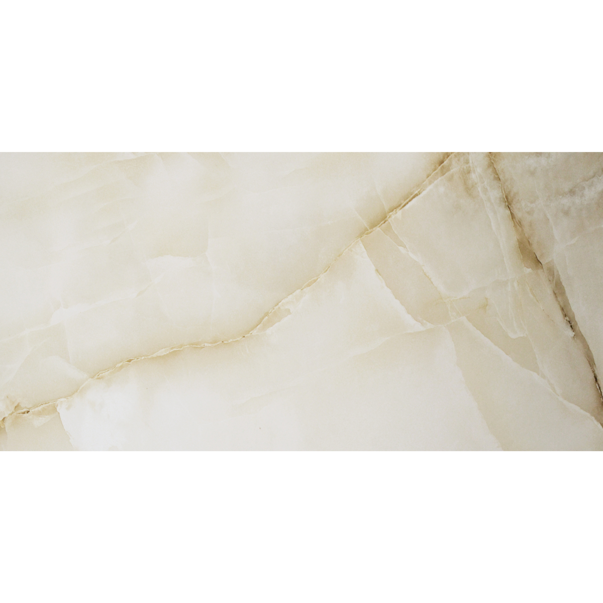 Onyx Oyster